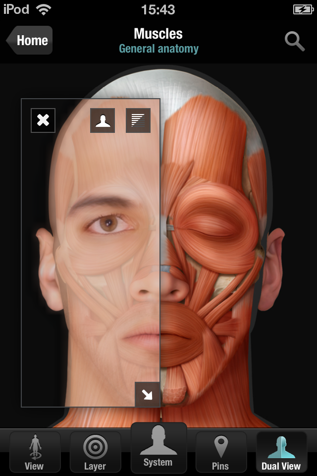 iPhone Screenshot 1